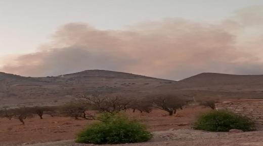 النيران تلتهم منطقة غابوية بجماعة مشرع حمادي