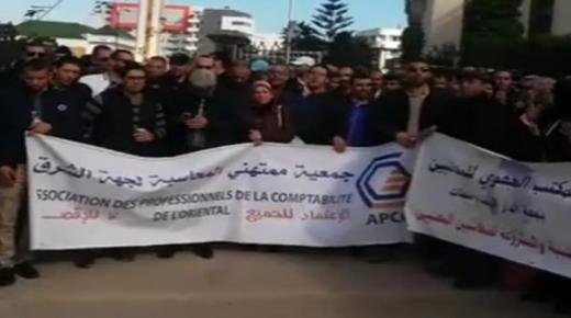 المحاسب المغربي المقصي من حق المشاركة في انتخابات المجالس الجهوية يطالب بضرورة التنزيل السليم للقانون المنظم للمهنة