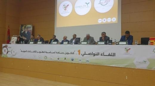 بائعو وموزعو المدخلات الفلاحية يجتمعون بوجدة من أجل تطوير كفاءاتهم المهنية