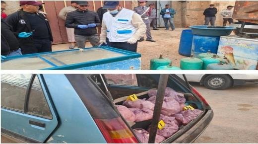 ضبط سيارة محملة بكميات كبيرة من الدجاج المذبوح يقود إلى كشف مذبح سري بواولوت التابعة لجماعة زكزل إقليم بركان