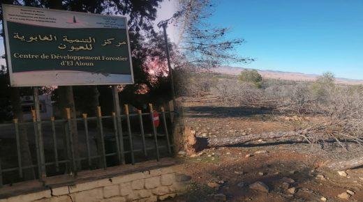 اغتيال بيئي بدائرة العيون..و الصمت لازال مستمرا