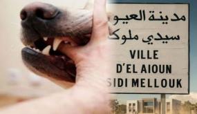السلامة الجسدية للمواطن بفضاءات المدينة،مسؤولية تدبيرية لا تقبل التأجيل