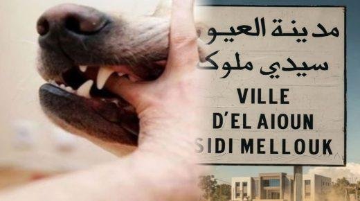 السلامة الجسدية للمواطن بفضاءات المدينة،مسؤولية تدبيرية لا تقبل التأجيل