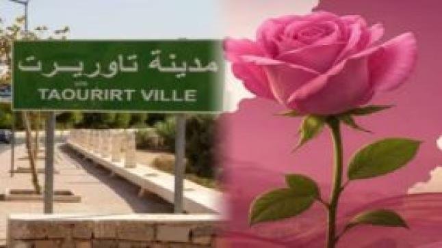 وردة تاوريرت.. هل تكفي “الرومانسية التنظيمية” لحسم معركة 23 شتنبر؟
