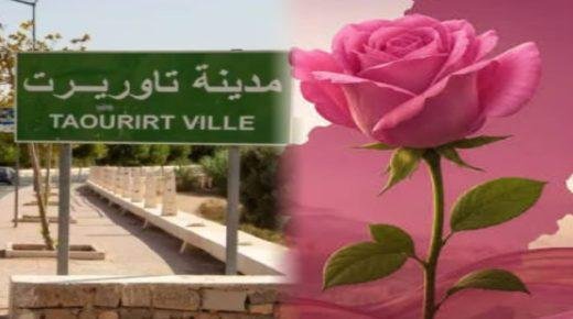 وردة تاوريرت.. هل تكفي “الرومانسية التنظيمية” لحسم معركة 23 شتنبر؟