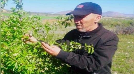 عاجل.. جمال عطاف يفوز بمقعد الغرفة الفلاحية بجماعتي مشرع حمادي وعين الحجر