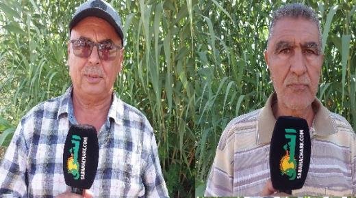 قطع مياه السقي يدفع الفلاحين للاحتجاج ببركان والمسؤولين خارج التغطية