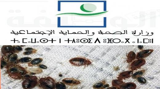 تفعيل نظام اليقظة الصحية لمواجهة أي احتمال لتسرب حشرة بق الفراش إلى المغرب