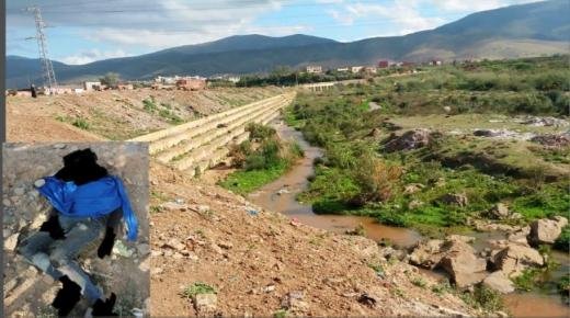 العثور على جثة شاب متشرد بوادي شراعة ببركان ومصالح الأمن تفتح تحقيقًا في ظروف وملابسات وفاته