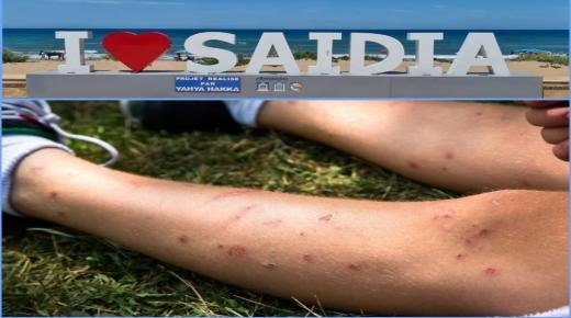 السعيدية تحت حصار الناموس.. صيف لاهب يتقاسمه الزوار مع الحشرات الطائرة