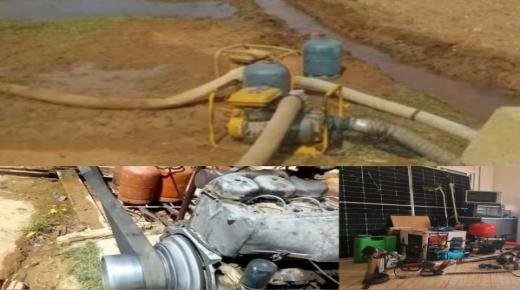 دوار التوميات بإقليم بركان: موجة سرقات جديدة تطال أربعة فلاحين في أسبوع واحد