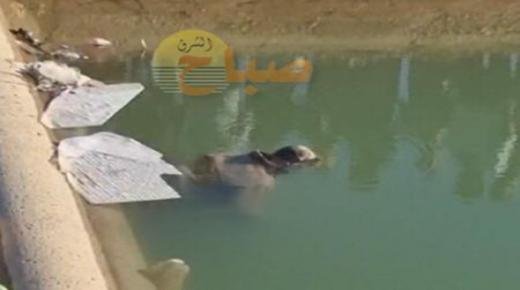 عاجل : وفاة شخص غرقا في قناة للسقي “ملوية” بمدينة بركان