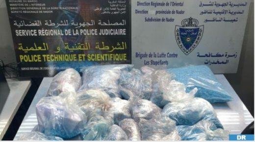 الميناء البحري بني أنصار .. إجهاض محاولة لتهريب أزيد من 53 ألف قرص مهلوس