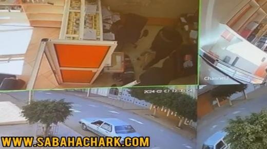 الفيديو الذي يوثق لعملية سرقة وكالة لتحويل الأموال ببركان من طرف شخصين ملثمين باستخدام السلاح الأبيض..!!!