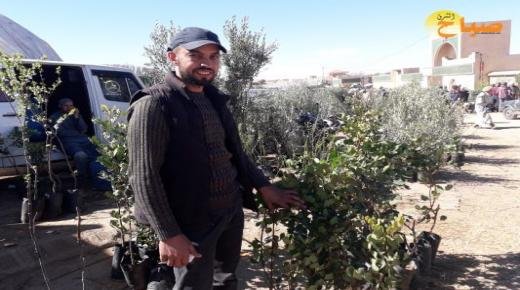 في إطار التوجه لزراعات ذات قيمة مضافة عالية .. إقبال كبير من فلاحي العيون الشرقية على زراعة أشجار الزيتون و الخروب