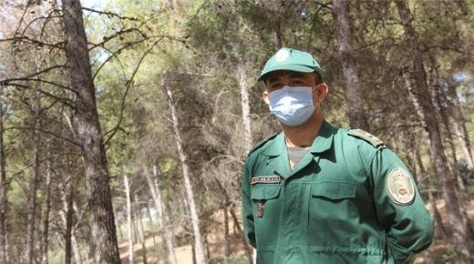 مقترح قانون جديد لضبط و حماية المجال الغابوي بالمغرب