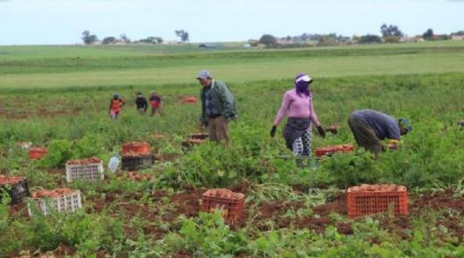 التساقطات المطرية الأخيرة تنعش آمال الفلاحين بالأقاليم الشمالية لجهة الشرق