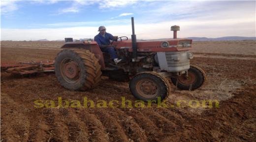 العيون سيدي ملوك : تأخر الأمطار يهدد الموسم الفلاحي و مربو الماشية أول المتضررين