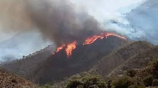 حريق نواحي تازة يلتهم نحو 25 هكتارا من الغطاء الغابوي في 12 ساعة.