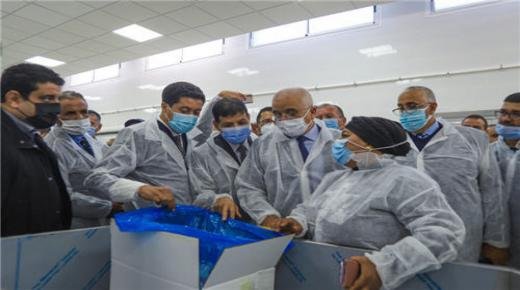 جرادة : تدشين وحدة لتنقية سمك القمرون ستوفر 1000 منصب شغل قار