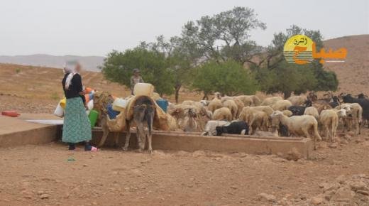 من بينها مدن الجهة الشرقية .. وزير التجهيز و الماء يكشف خريطة المدن المهددة بالعطش