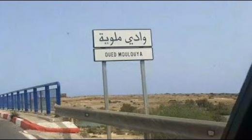 لأول مرة في تاريخه: نهر ملوية عاجز عن بلوغ مصبه في البحر المتوسط