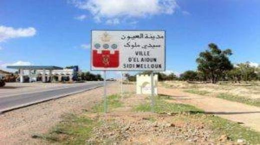 سكان عدد من الدواوير بالعيون الشرقية يشتكون من “الحيوانات الضارية”