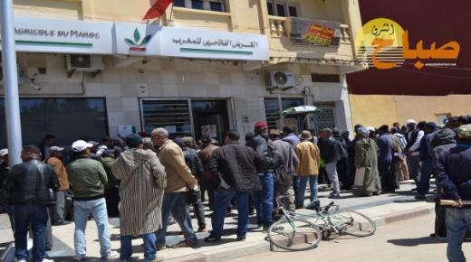 العيون سيدي ملوك : عملية توزيع الشعير المدعم متواصلة .. و الكسابة يطالبون بخطوات من أجل التسريع