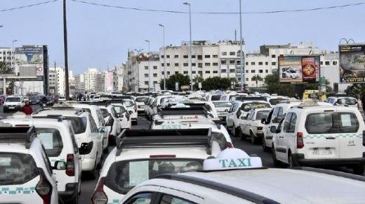 الحكومة تتجه لدعم مهنيي النقل بهدف الحفاظ على القدرة الشرائية للمواطنين