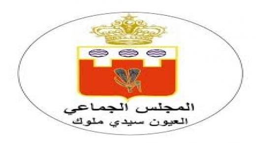 اختفاء ممرات الراجلين يتسبب في عرقلة حركة السير و الجولان