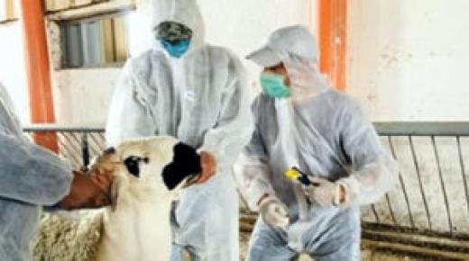 وزارة الأوقاف والشؤون الإسلامية عيد عيد الأضحى المبارك سيكون يوم الأربعاء 21 يوليوز الجاري.