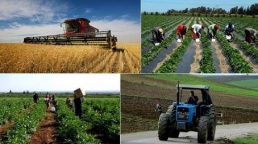 الموسم الفلاحي 2020/2021.. بلاغ وزارة الفلاحة يبشر بالخير