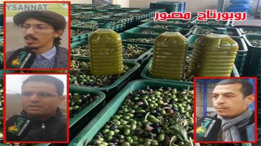 زيت الزيتون بالعيون سيدي ملوك : جودة نموذجية ومؤهلات إنتاجية وافرة